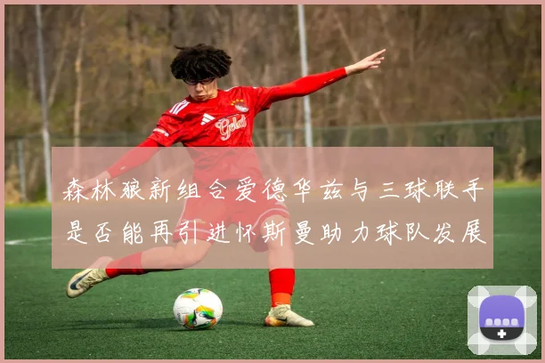 森林狼新组合爱德华兹与三球联手是否能再引进怀斯曼助力球队发展